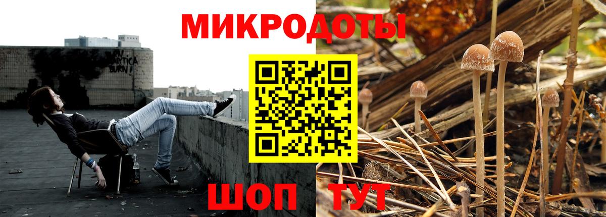 Псилоцибиновые грибы прущие грибы Дятьково