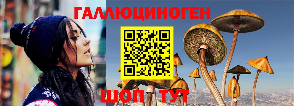Дятьково  Псилоцибиновые грибы Cubensis  Вход с VPN 